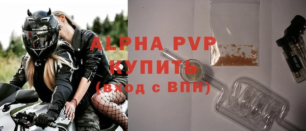 PSILOCYBIN Бородино