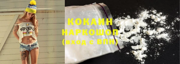 PSILOCYBIN Бородино