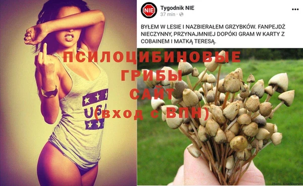 спиды Бронницы