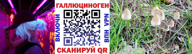 Галлюциногенные грибы MAGIC MUSHROOMS  Сковородино 